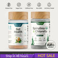 Gut Health & Spirulina Chlorella Bundle –Digestive, Detox & Antioxidant Support